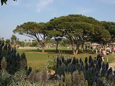Aux Sablettes, Vue Mer, Plages En Bas De La Résidence Appartamento